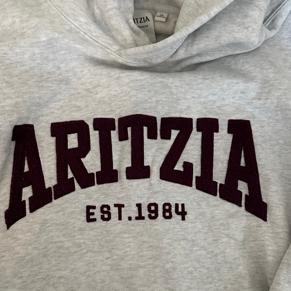 Aritzia Perfect Fit Hoodie - Picture 5 of 8